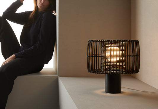 Hedula ambiente