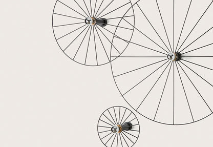 Wheel ambiente
