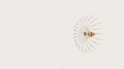 Spider Aplique