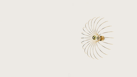 Spider Aplique