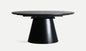 Mesa Extensible Lizant